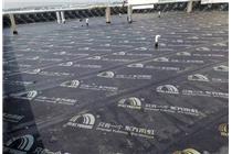 南京慶陽路&nbsp;醫藥公司